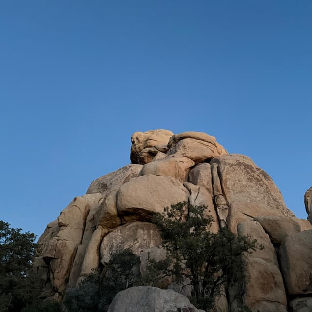 Rocks shaped like a bear in Joshua Tree.