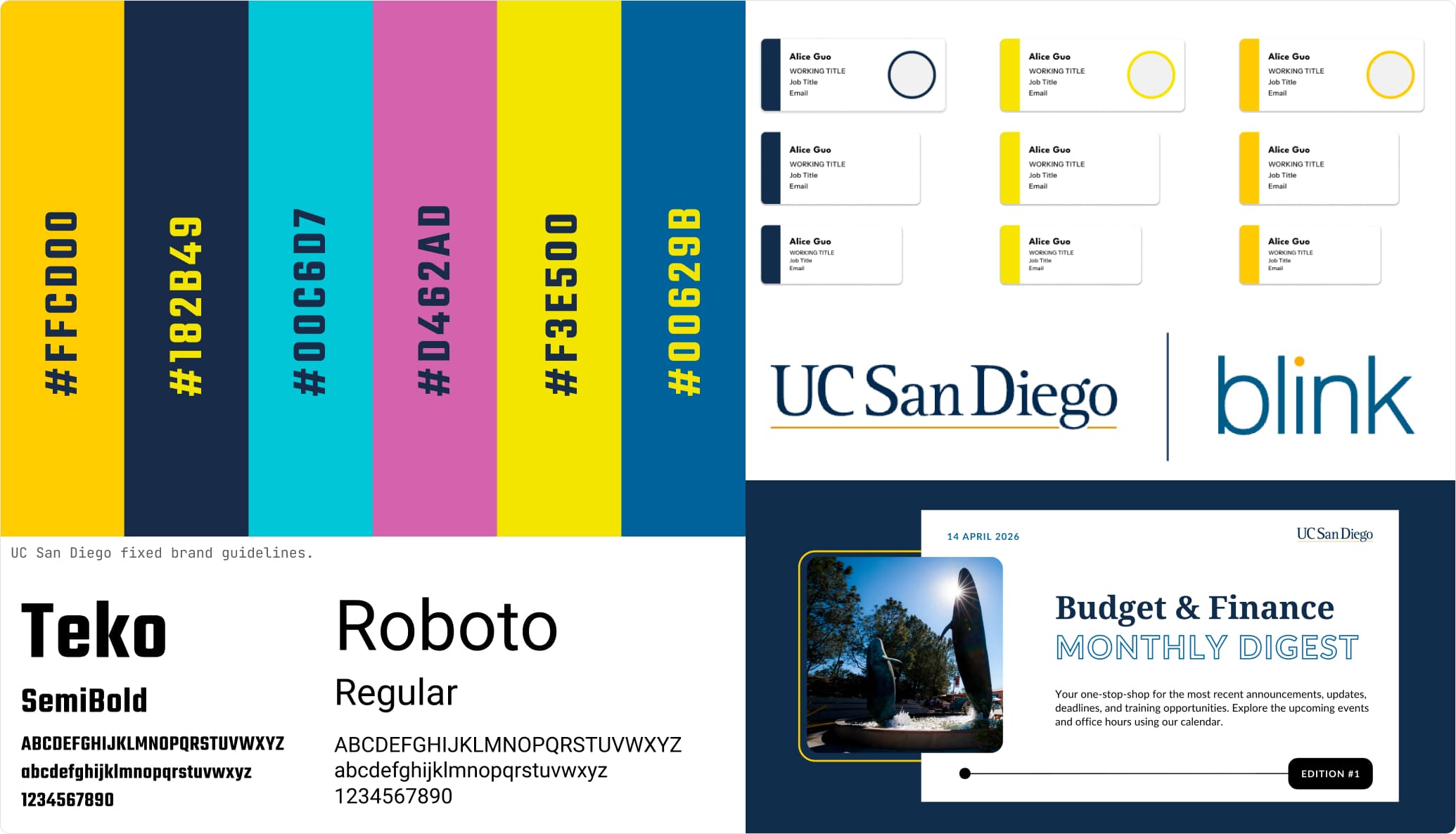 UC SAN DIEGO BFS BLINK project screenshot